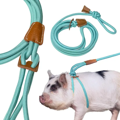 Vista 12 de PORCINE® Arnés y correa para mini cerdo (S/M) – Totalmente ajustable, correa de estilo infinito, arnés de paso, suministros de barriga, todo en uno