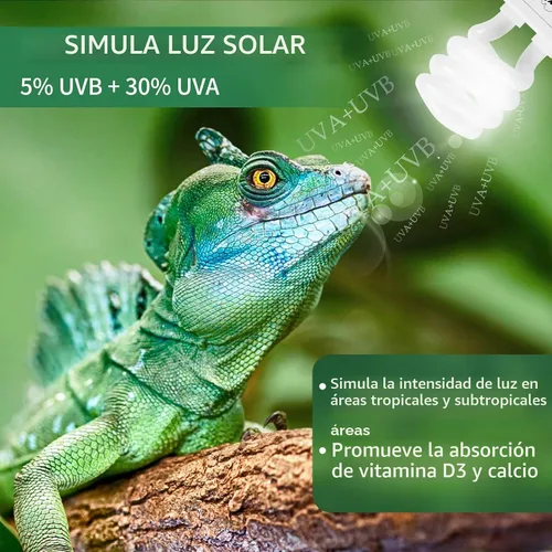 Vista 5 de LUCKY HERP Lámpara fluorescente compacta UVA UVB para reptiles 5.0, 13 W, lámpara tropical para terrario