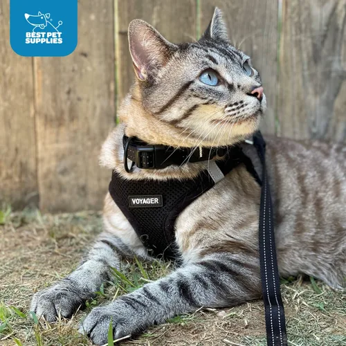 Vista 234 de Best Pet Supplies - Arnés de malla para todo tipo de clima, reflectante, antitirones, para perro y gato pequeño y mediano, con cierre de velcro