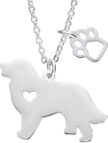 Melix Dije de perro para collar de acero inoxidable yorkie labrador pitbull husky de alaska akita boxer corgi salchicha pastor alemán golden