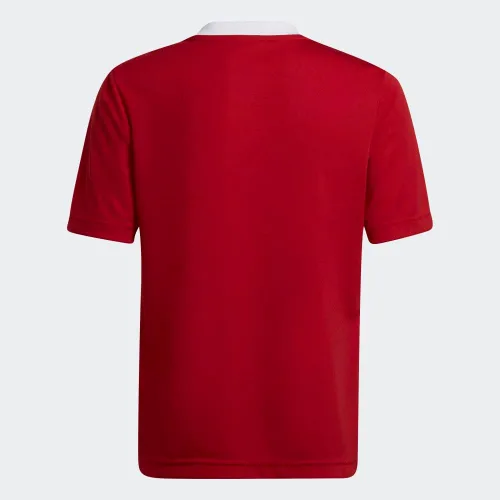 Vista 2 de adidas Entrada 22 - Camiseta para niños