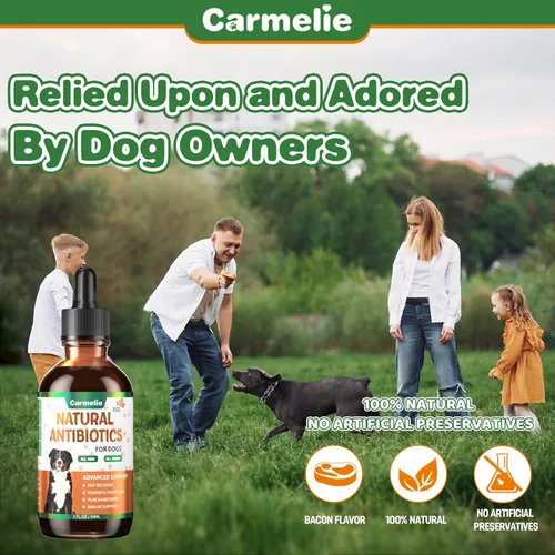 Vista 5 de Antibióticos naturales para perros – Antibióticos para perros, suplementos nutricionales para problemas de piel, alivio de picazón, suplemento