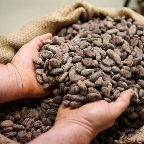 Vista 2 de Amedei I Cru Napolitains, surtido de seis sabores