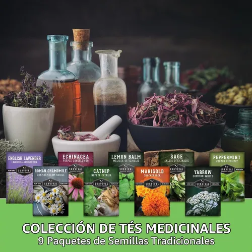 Vista 2 de Semillas de hierbas para té medicinal para sembrar Paquete de 9 variedades de hierbas autóctonas, sin OMG – Cultive tés herbales, remedios