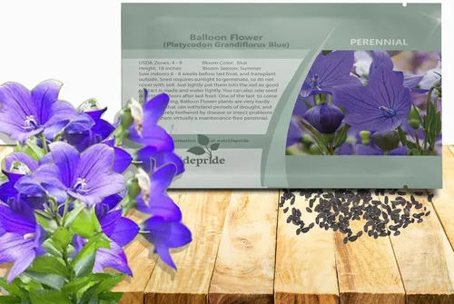 Outsidepride Semillas de flores de globo azul para plantar, 1000 piezas perennes, tolerantes a la sequía, fáciles de cultivar, de bajo