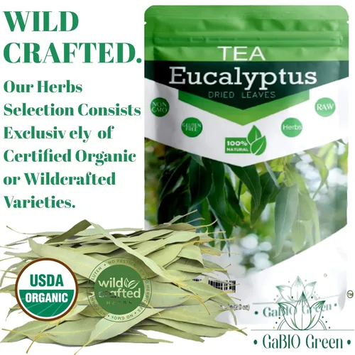 Vista 3 de Hojas enteras de eucalipto, calidad premium, hojas enteras de eucalipto (más de 500 hojas) 1 libra de té suelto de hierbas, té de eucalipto de hoja