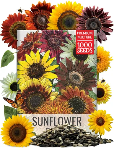 Vista 15 de Seed Needs paquete de venta al por mayor de 30 000 semillas de flores silvestres variadas (15 especies) de sombra parcial no modificadas