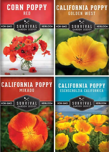Poppy Collection - Paquete variado de 4 semillas para plantar, variedades California, Golden West, Mikado y amapola de maíz rojo, colección de