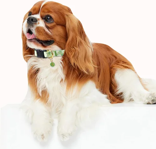 Vista 5 de Collar de perro de algodón hecho a mano para perros pequeños, medianos y grandes, margarita verde con colgante, collares de perro lindos (pequeño)