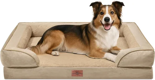 Vista 228 de Comfort Expression - Cama ortopédica para perros pequeños, 20 x 14 pulgadas, cama impermeable y de apoyo de espuma con cojines removibles, sofá