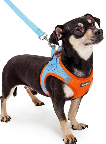 Vista 101 de rabbitgoo Juego de arnés para perro, tamaño pequeño y correa, chaleco ligero suave para cachorro, arnés de malla transpirable para mascotas, Negro