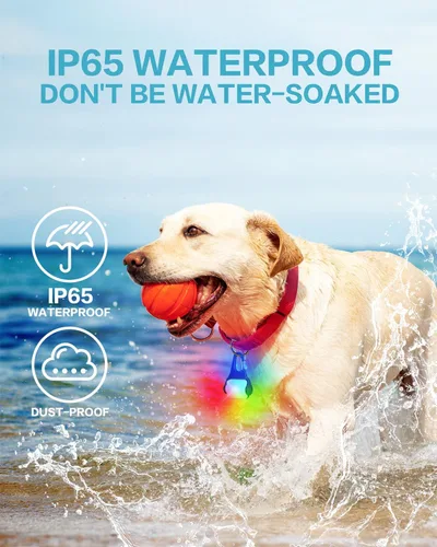 Vista 4 de Paquete de 2 luces para collar de perro, luces para perros para caminar por la noche, 4 modos, luz impermeable para perros con clip recargable