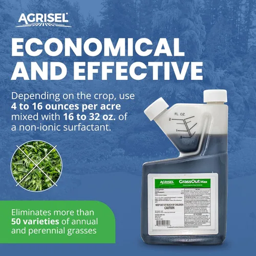 Vista 6 de Agrisel GrassOut Max Herbicida, Elimina más de 50 malezas herbáceas sin dañar las plantas deseadas, Seguro para mascotas, Tratamiento de área