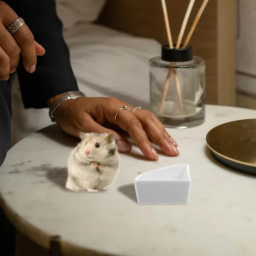 Vista 5 de iplusmile Cuenco de cerámica para hámster, blanco, 5