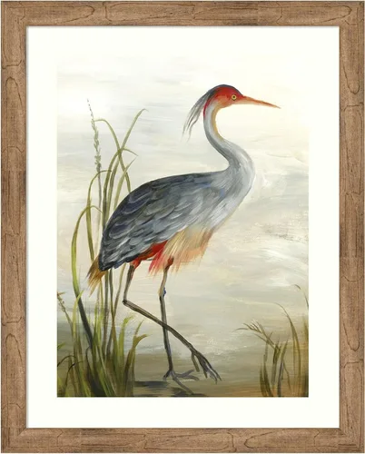Vista 21 de Amanti Art Framed Wall Art Print 24x20 Grey Heron by Aimee Wilson, Animals Wall Art, Rustic Farmhouse Decor, Small Poster Painting Artwork for