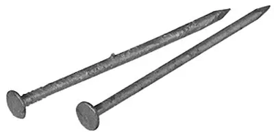 Clavos galvanizados sumergidos en caliente (2 pulgadas) - Caja de 5 libras