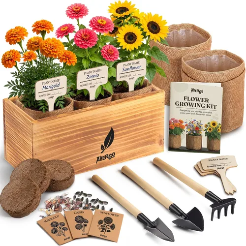 AVERGO Kit de cultivo de semillas de girasol, caléndula y zinnia