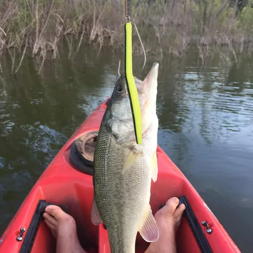 Vista 7 de Twistlock - 50 ganchos de pesca con pasador de resorte centrado para señuelos de plástico suave, cebos de agua salada de agua dulce, tamaño 1/0 2/0