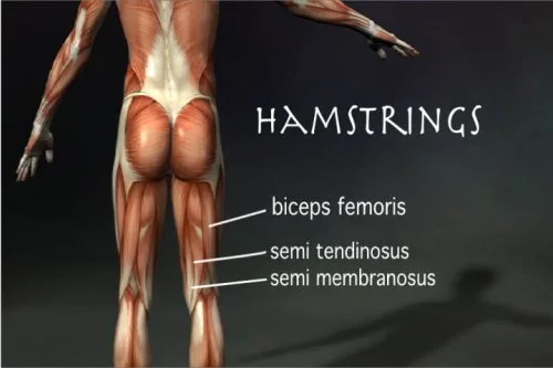 Vista 5 de Positional Release Massage