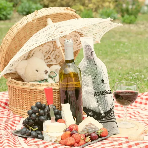 Vista 9 de JIMMY THE FOX Bolsas de vino reutilizables para viajes Paquete de 3 Funda protectora duradera de triple capa A prueba de fugas y resistente a