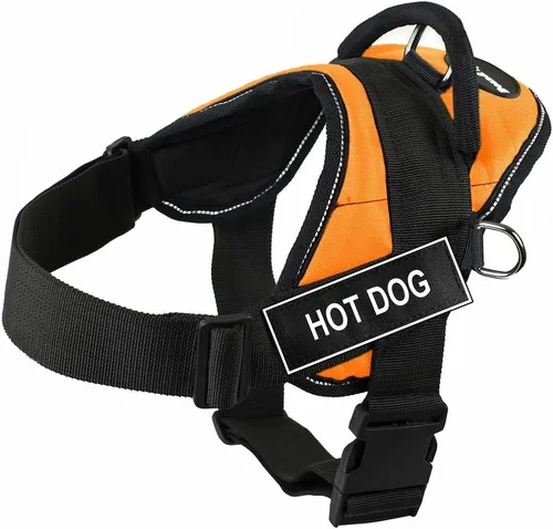 Dean & Tyler DT Fun - Arnés para perros calientes con ribete reflectante, talla L, color naranja