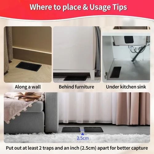 Vista 7 de LULUCATCH, trampas para ratones, 6 unidades de trampas grandes de pegamento para interiores para el hogar, tablas de pegamento a granel pre-cebadas