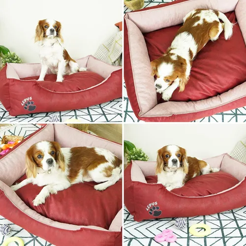 Vista 7 de SUSSEXHOME Pets - Cama lavable para perros pequeños, 19.3 x 14.2 x 7 pulgadas, duradera, impermeable, con lados, color marrón