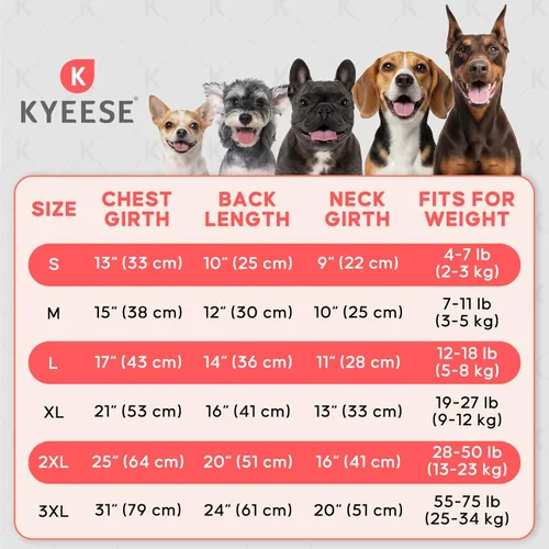 Vista 2 de KYEESE Paquete de 2 camisas para perro con punto gofre, camisetas ligeras sin mangas para perros pequeños, niños y niñas, chaleco transpirable