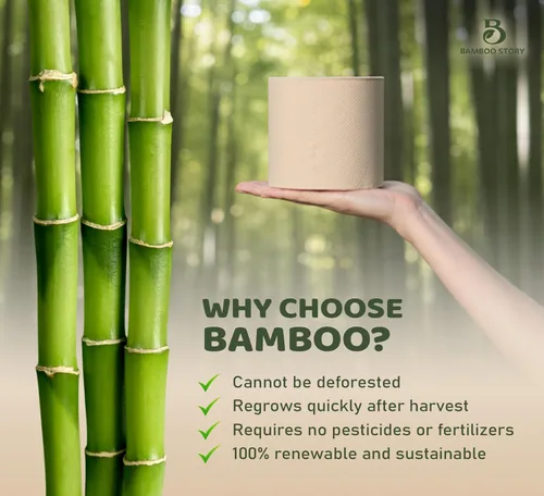 Vista 4 de Bamboo Story, Papel higiénico de bambú sin blanquear, 12 rollos, 3 capas y 300 hojas de papel higiénico de bambú, certificado FSC, biodegradable