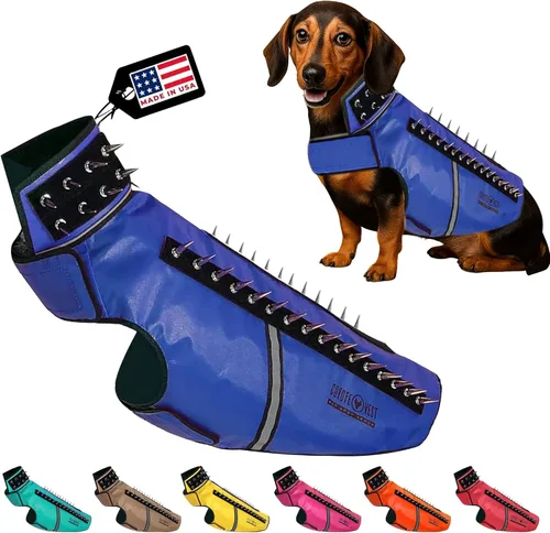 Vista 29 de CoyoteVest SpikeVest - Chaleco de arnés para perro, accesorios reflectantes para perros con picos para proteger a tu mascota de ataques de Raptor