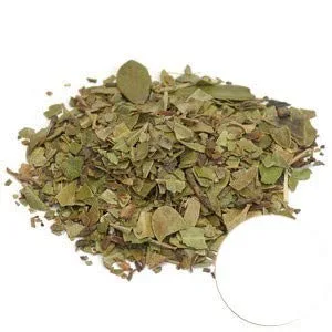 Starwest Botanicals Hoja Uva Ursi Orgánica C/S,4 oz (113 g)