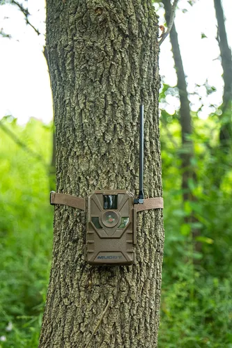 Vista 5 de Muddy Cámara de rastro celular Manifest 2.0 para exteriores, código AR de escaneo rápido, 16 megapíxeles, AT&T y VERIZON, aplicación Stealth CAM