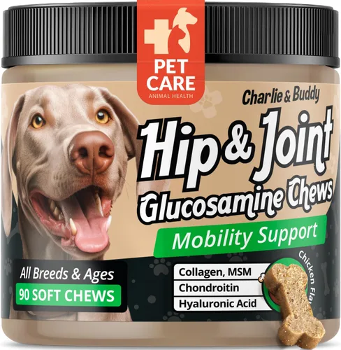 Glucosamine for Dogs Chewable, Joint Supplement for Dogs for Mobility Support, Glucosamine Chondroitin Chews