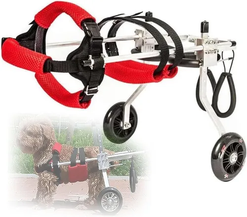 Dog Wheelchair Back Leg Disabled Dog Cart, Light Weight Adjustable with Wheels, Assist Pet Scooter Aging Arthritis Disabled Paralysis Mobility