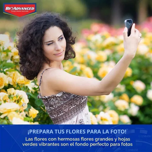 Vista 2 de BioAdvanced 2 en 1 Systemic Rose and Flower Care II, gránulos, 5 libras con insecticida BioAdvanced Rose and Flower, listo para usar, 24 onzas