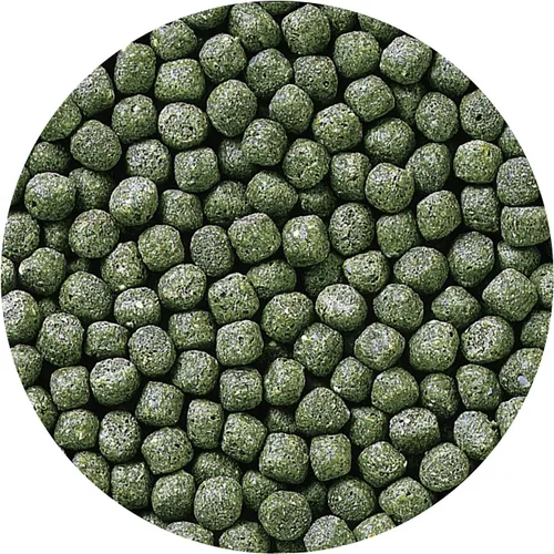 Vista 3 de Hikari Gránulos flotantes de grapas cíclidos de 8.8 onzas para mascotas, tamaño mediano