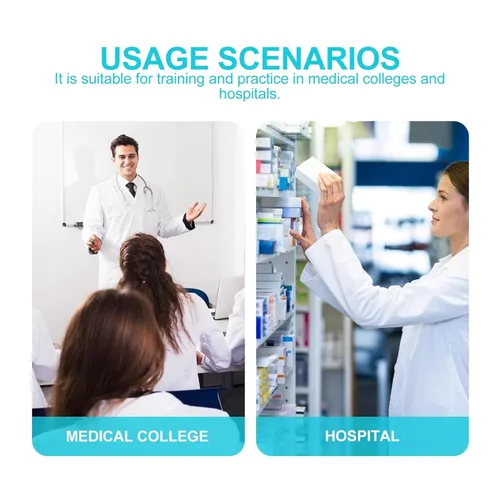 Vista 7 de Modelo anatómico de calavera humana – Modelo de cráneo de anatomía de cabeza esqueleto, modelo de 5.5 pulgadas para enseñanza médica, aprendizaje