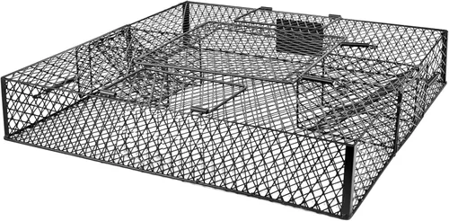 Jaula de suqirrel (sin bandeja inferior) - para ardillas y ardillas, construcción de metal, 1 trampa