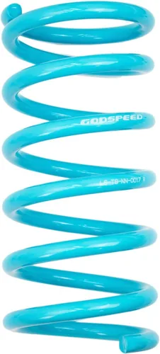 Vista 4 de Godspeed LS-TS-NN-0017 Traction-S rendimiento que baja los muelles para Nissan Maxima (A35) 2009-14