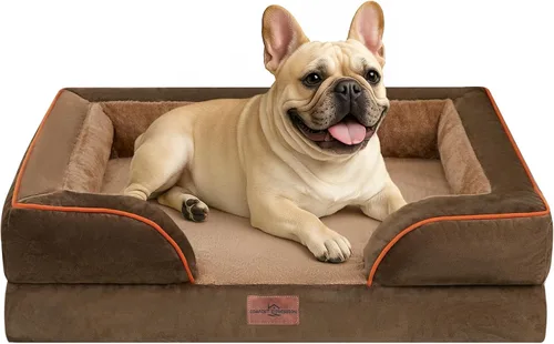 Vista 45 de Comfort Expression - Cama ortopédica para perros pequeños, 20 x 14 pulgadas, cama impermeable y de apoyo de espuma con cojines removibles, sofá