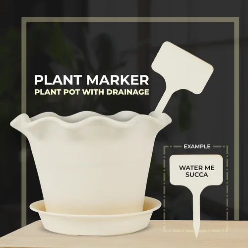 Vista 4 de Maceta – Macetas – Macetas bonitas – Macetas únicas – Divertidas macetas para plantas de interior – Macetas suculentas – Maceta para suculentas