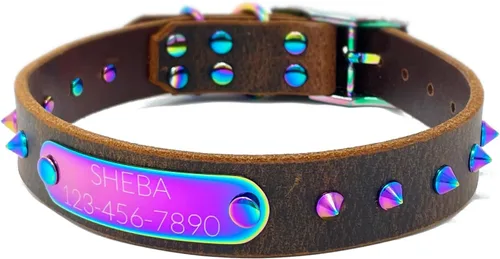 Vista 8 de Collar de perro de cuero con brida hecha a mano, grabado arco iris de acero inoxidable (negro)