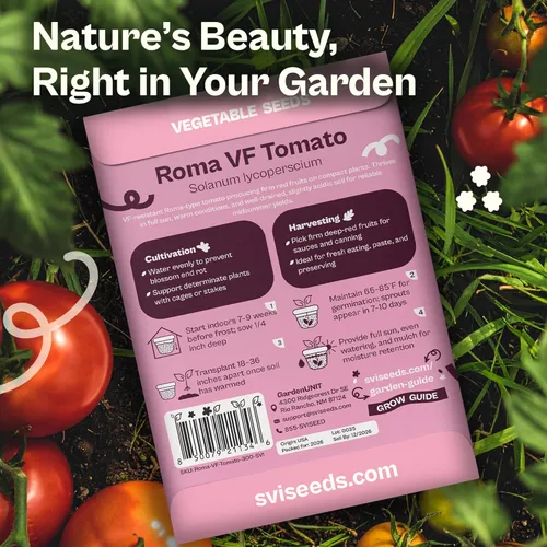 Vista 34 de SVI 550 Large Red Cherry Tomato Seeds (Solanum lycoperscium) – Cherry Tomatoes Seed Packets, Mini Tomatoes On The Vine – Heirloom Vegetable Seeds in
