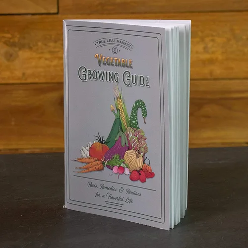 Vista 3 de Bug Out Bag Survival Garden - Semillas de verduras y hierbas - ~ 12,000 semillas - Colección de 19 variedades de semillas tradicionales para bóveda