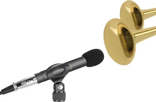 Vista 4 de Neewer Paquete de 2 micrófonos de condensador con cápsulas intercambiables Omni Cardioide y Super Cardioide, Parabrisas de espuma, clip de micrófono