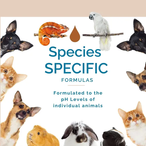 Vista 6 de Limpiador de jaula de conejillos de indias para animales pequeños sin aroma, espray para olores de mascotas para hámster y conejo