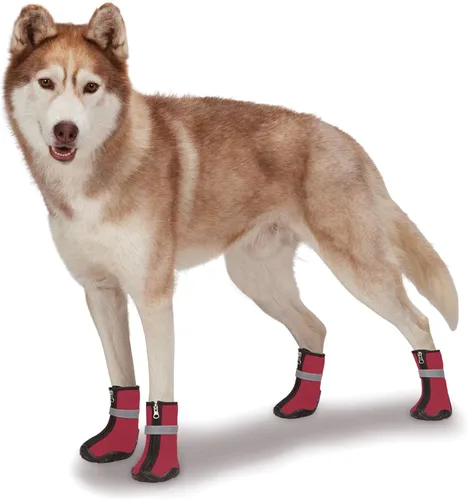 Vista 5 de Zack & Zoey ThermaPet - Botas de neopreno, color azul, talla L