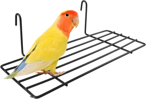 Vista 2 de POPETPOP 1 estante de pared de hierro para pájaros de mascotas, perca colgante resistente con ganchos, fácil de instalar para loros y animales