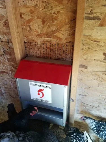 Vista 9 de DUNCAN'S FAMILY FARM STORE Duncans Poultry - Alimentador de pared para aves de corral de 30 libras