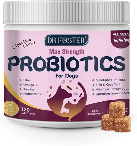 Probióticos para perros - Probióticos para perros para la salud digestiva, prebióticos, enzimas digestivas para perros con calabaza, omega-3, apoyo